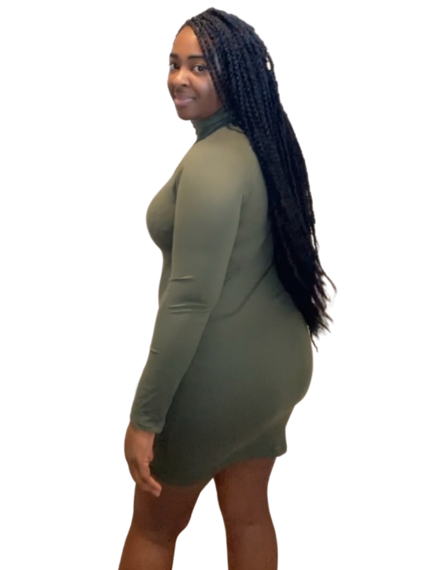 Turtle Neck Bodycon Mini Dress Nevaeh’s Closet LLC