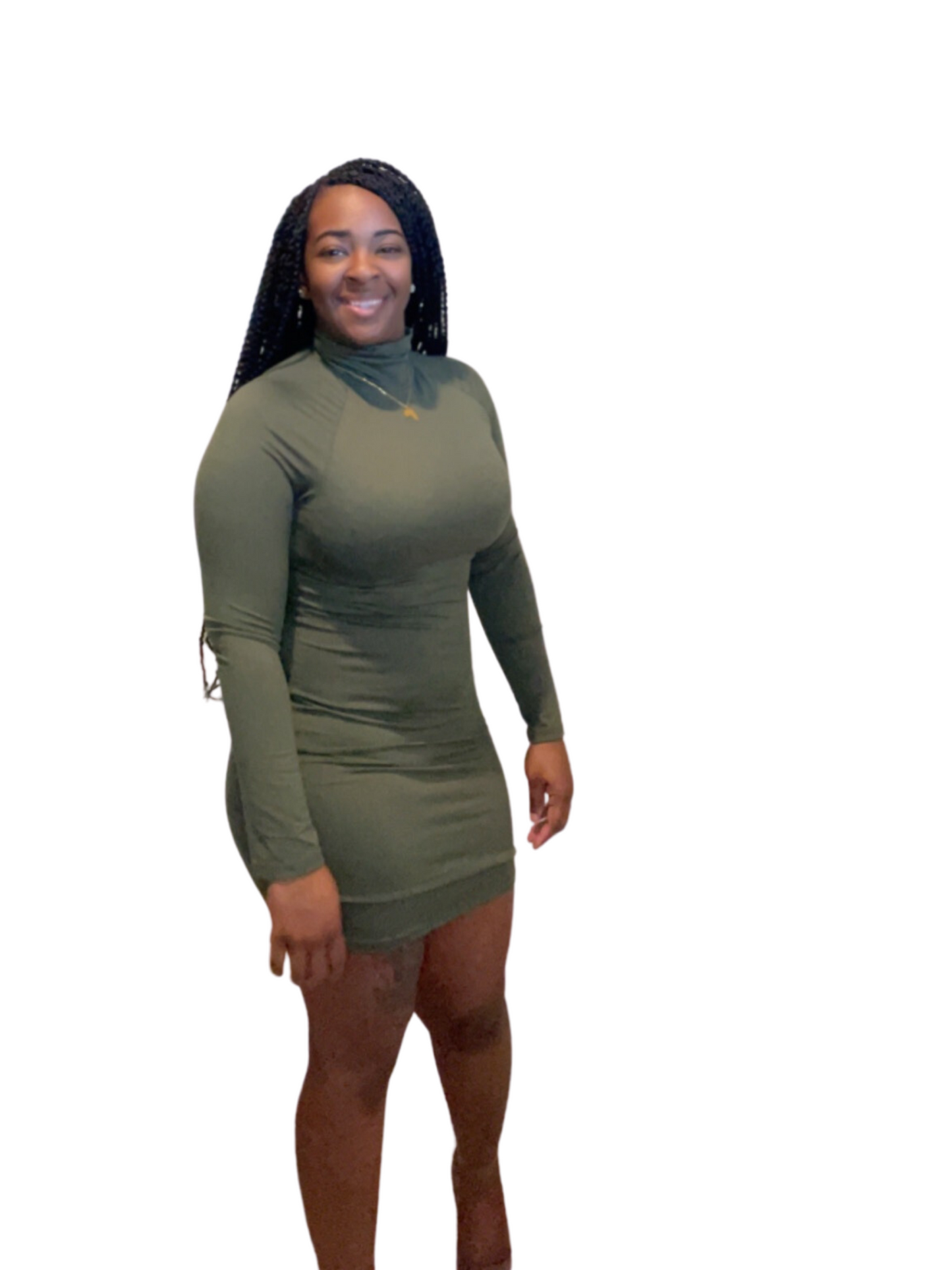 Turtle Neck Bodycon Mini Dress Nevaeh’s Closet LLC